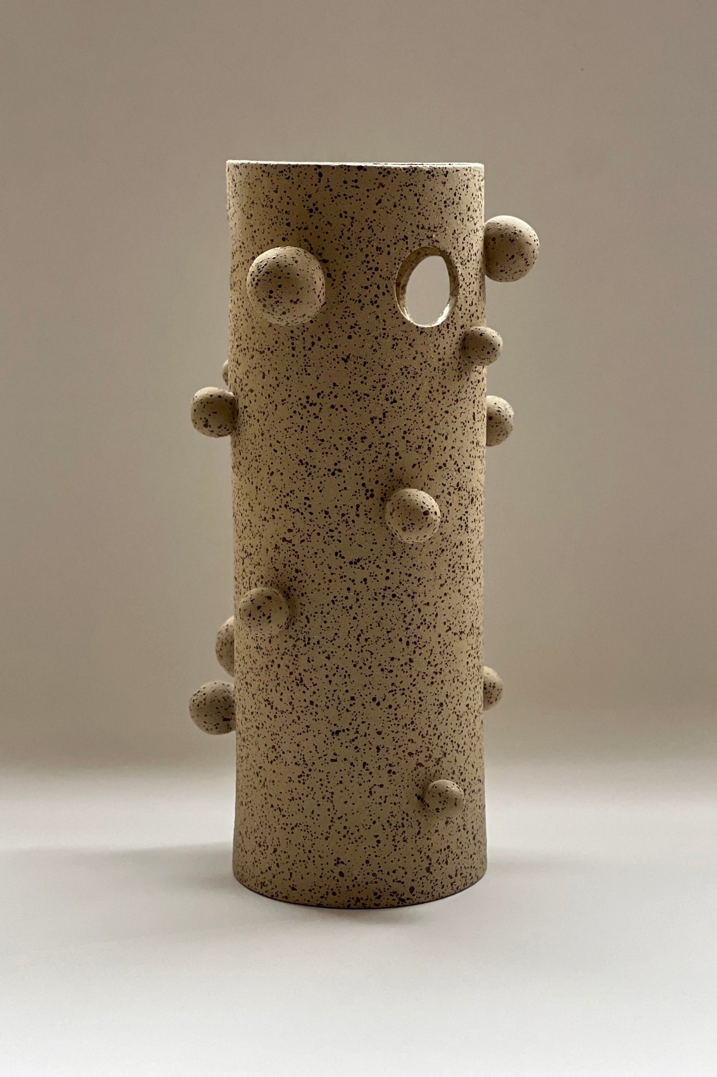 Modern minimalist ceramic vase with textured speckled finish